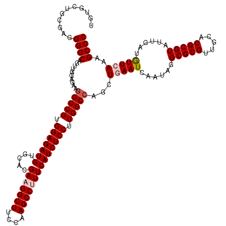 secondary structure