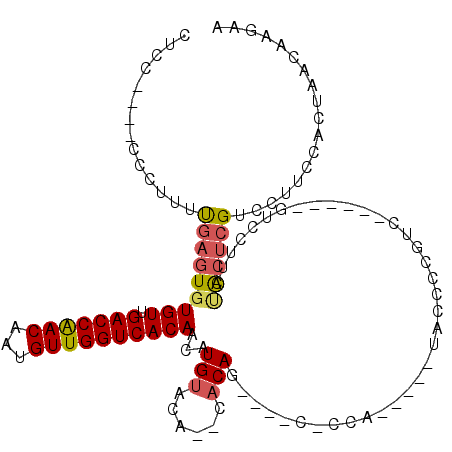 secondary structure
