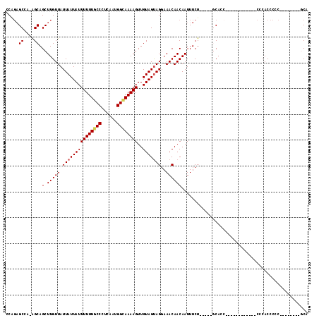 dotplot