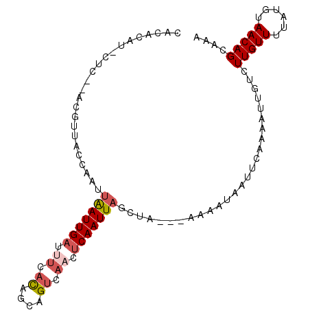 secondary structure