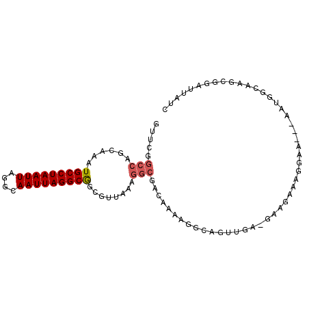 secondary structure