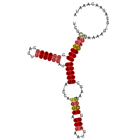 secondary structure