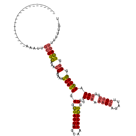 secondary structure