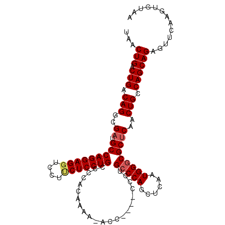 secondary structure