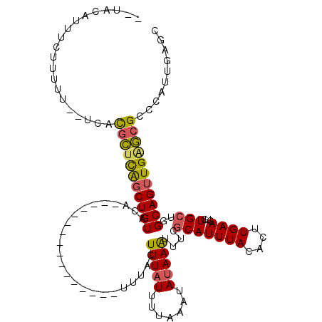 secondary structure