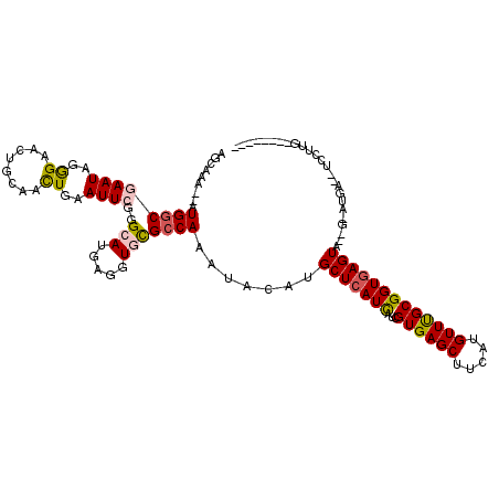 secondary structure