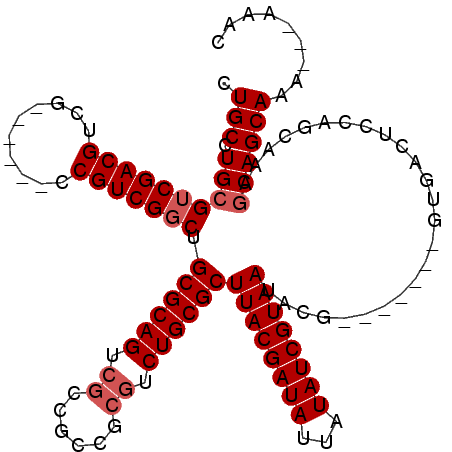secondary structure