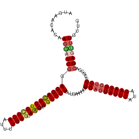 secondary structure