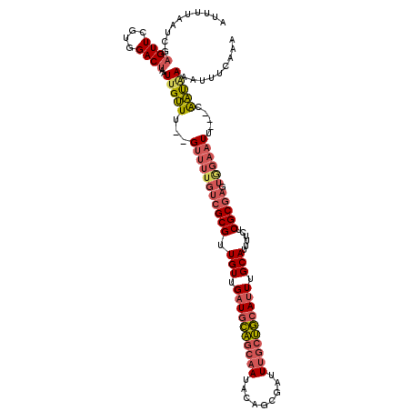 secondary structure