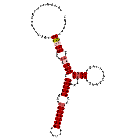 secondary structure