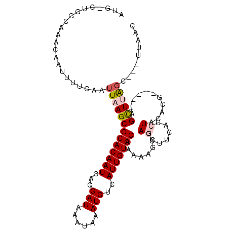 secondary structure