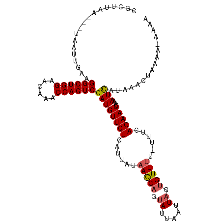 secondary structure