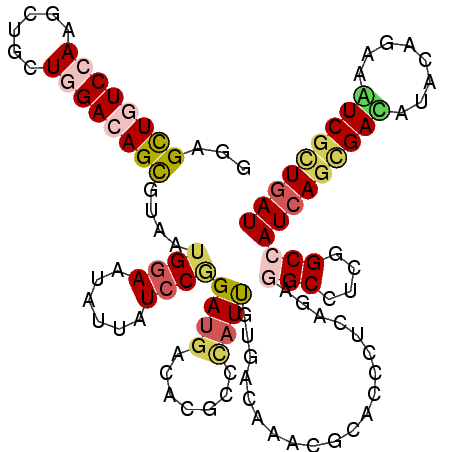 secondary structure
