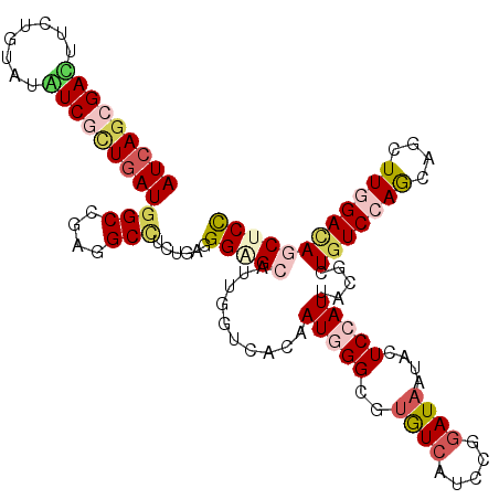 secondary structure