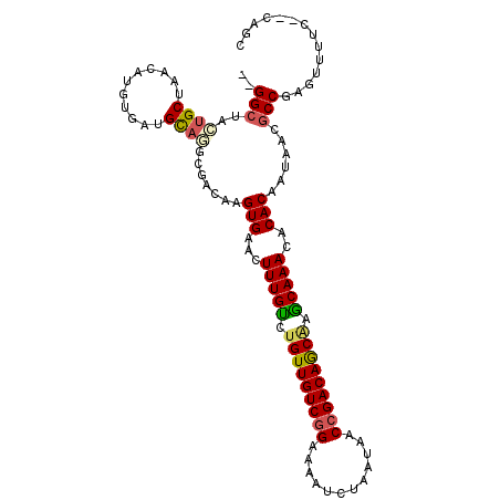 secondary structure