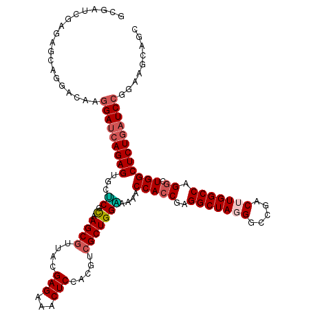 secondary structure