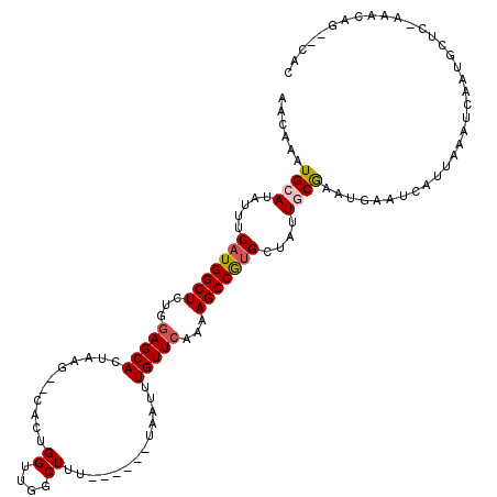 secondary structure