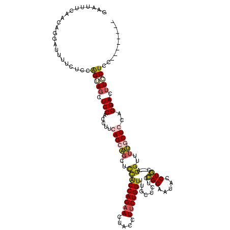 secondary structure