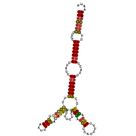 secondary structure