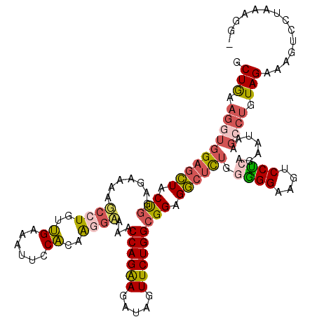 secondary structure