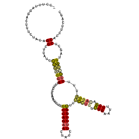 secondary structure