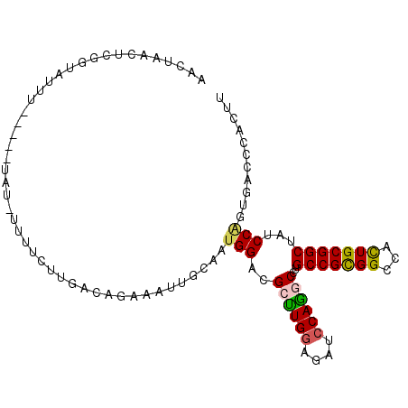 secondary structure