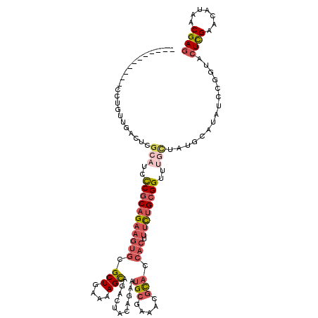 secondary structure