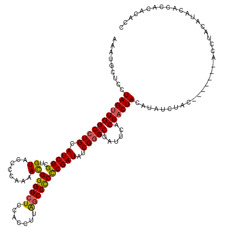 secondary structure