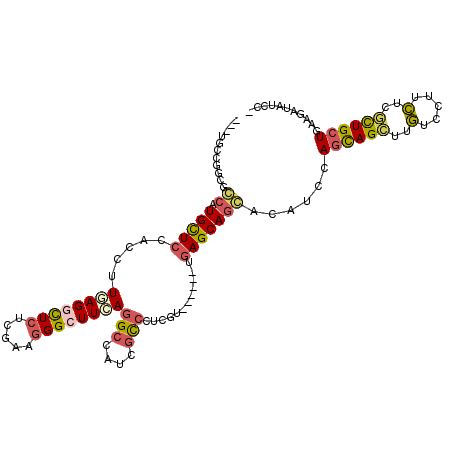 secondary structure