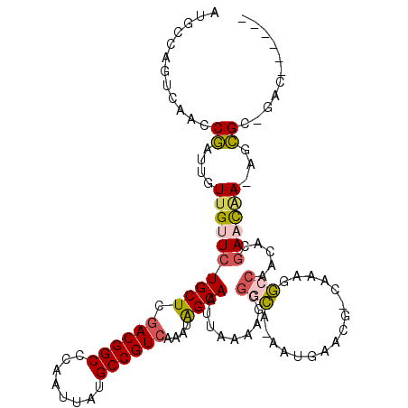 secondary structure