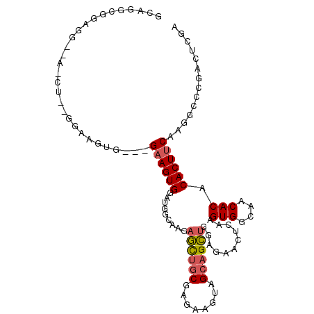 secondary structure