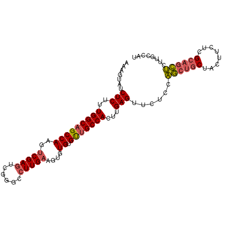 secondary structure