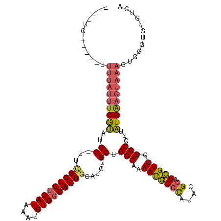 secondary structure