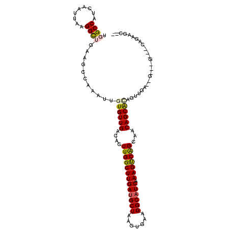secondary structure