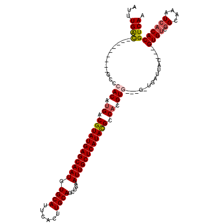secondary structure