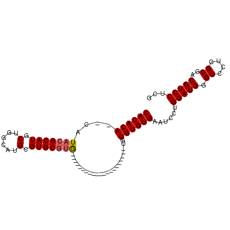 secondary structure
