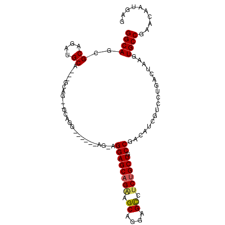 secondary structure