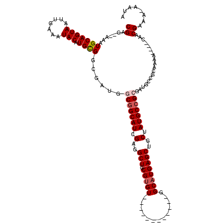 secondary structure