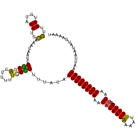 secondary structure