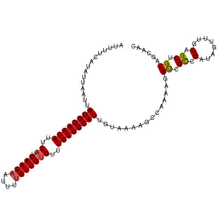 secondary structure