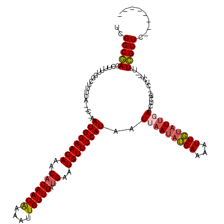 secondary structure