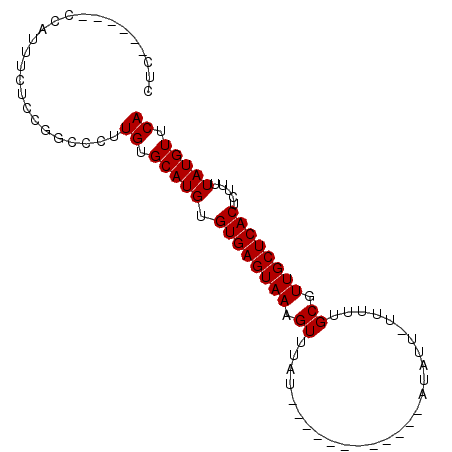 secondary structure