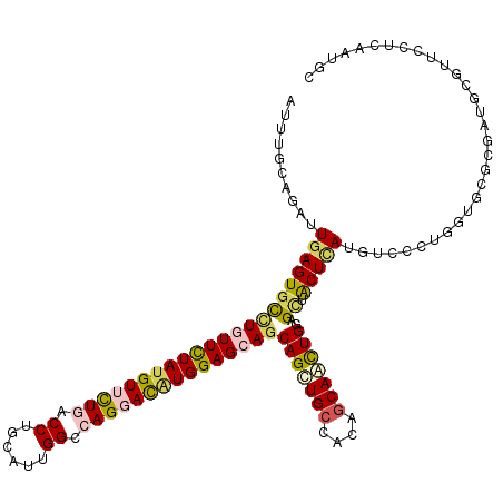 secondary structure