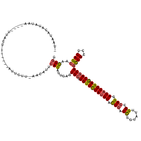 secondary structure