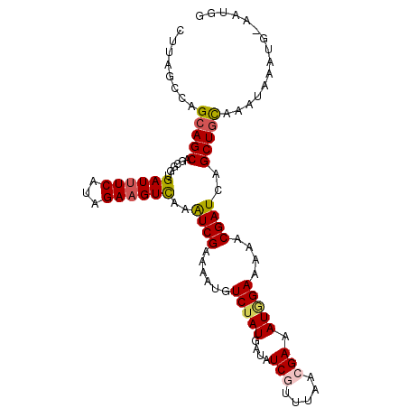 secondary structure