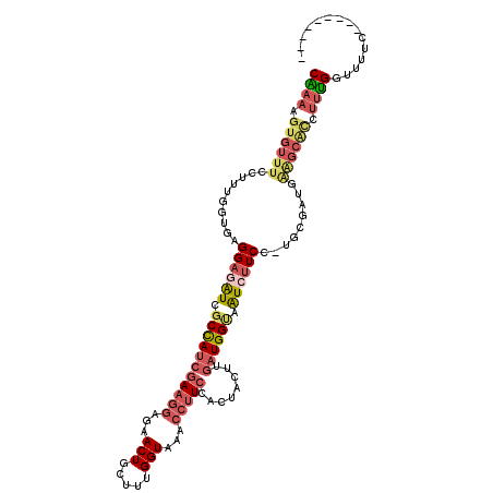 secondary structure