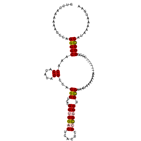 secondary structure