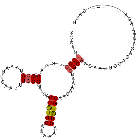 secondary structure