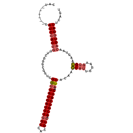 secondary structure