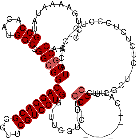 secondary structure